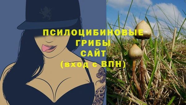 mdpv Белокуриха