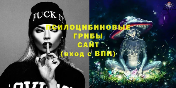 гидра Белоозёрский