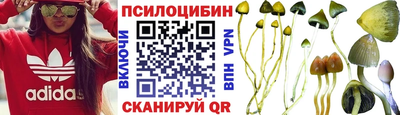 Псилоцибиновые грибы Cubensis  Михайловка 